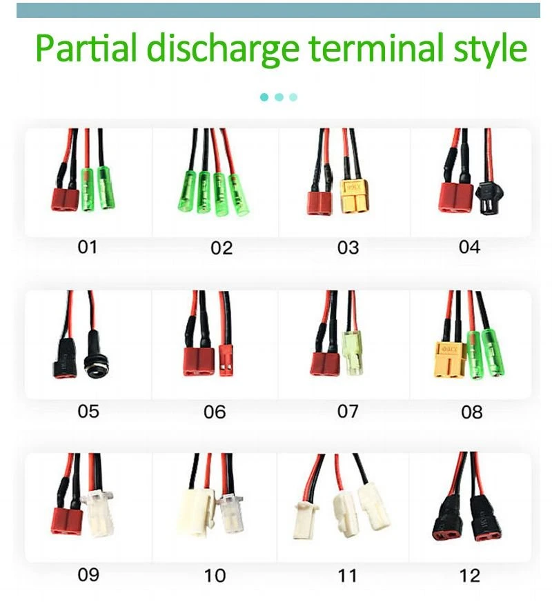 250AH Lithium Battery Pack 4