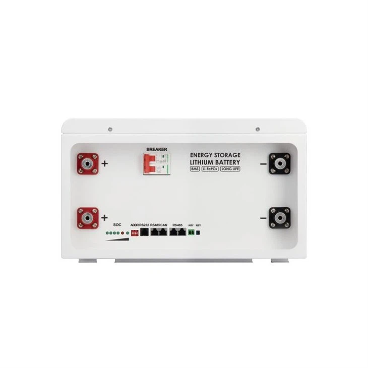 Liquid - Standing 48V 100AH LiFePO4 Battery Safety Features